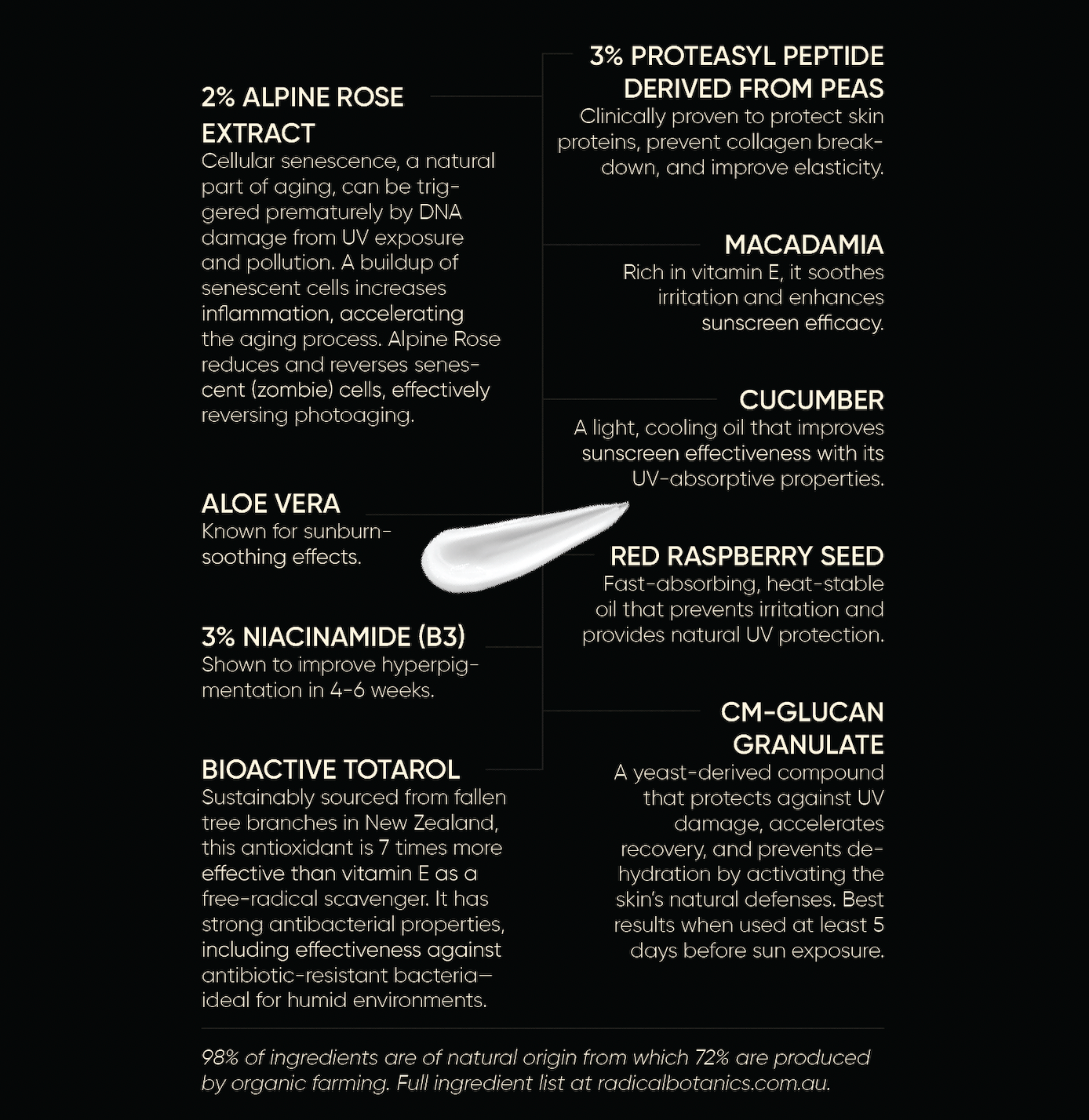 Limited Edition Bag Bundle